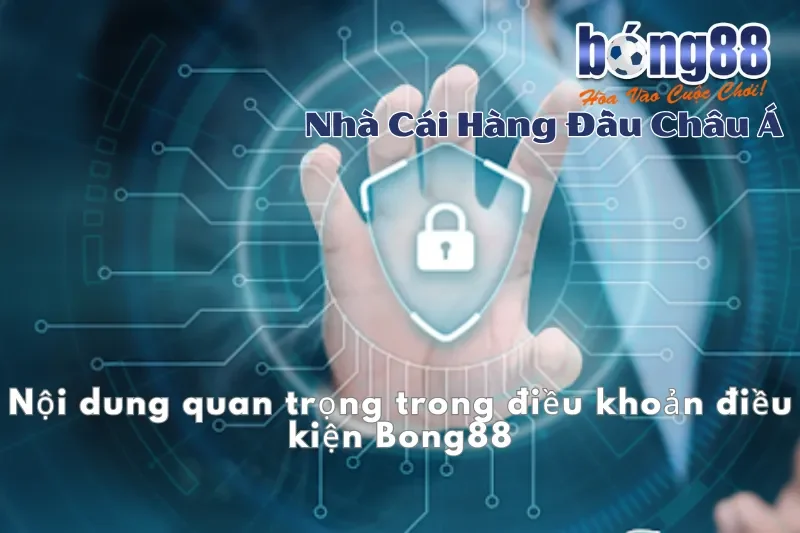 Nội dung quan trọng trong điều khoản điều kiện Bong88