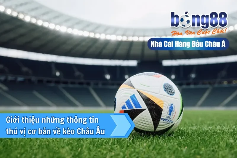 Giới thiệu những thông tin thú vị cơ bản về kèo Châu Âu