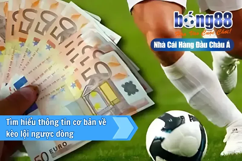 Tìm hiểu thông tin cơ bản về kèo lội ngược dòng