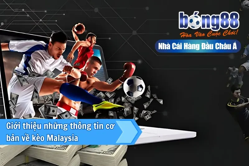 Giới thiệu những thông tin cơ bản về kèo Malaysia